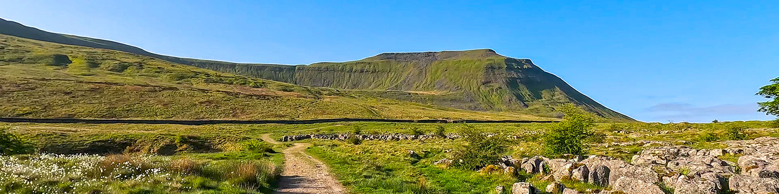 Ingleborough