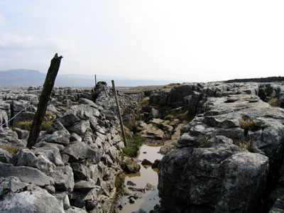 Path through a limestone pavement