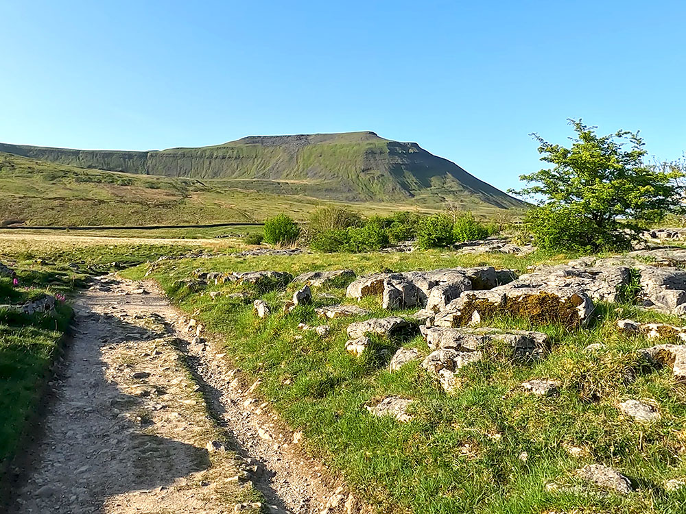 Ingleborough