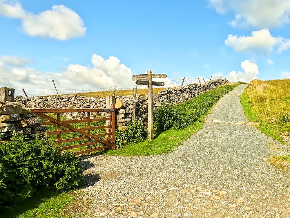 4-way signpost by the gate, the Yorkshire 3 Peaks Walk heads straight on over Whitber Hill