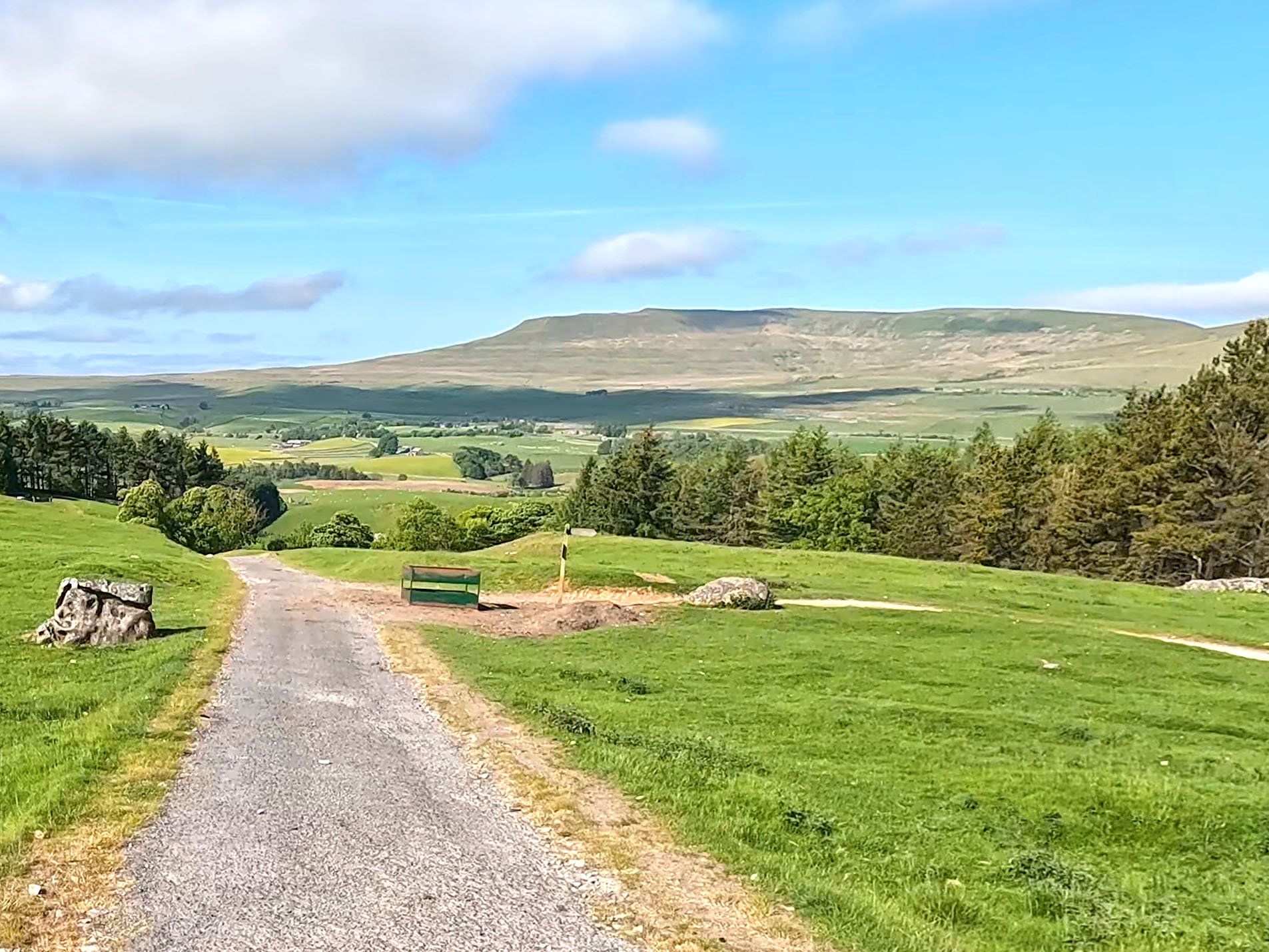 Track junction where Yorkshire 3 Peaks Walk turns right