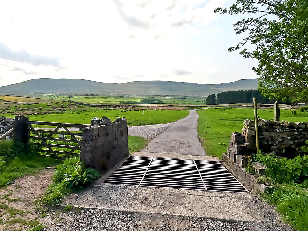 Passing over one of the cattle grids on the road