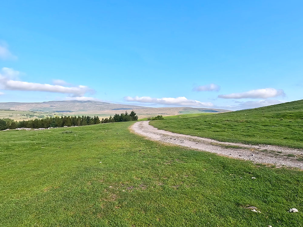 Path joining the track at High Birkwith