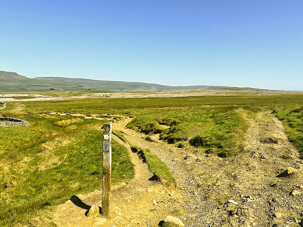 Take the left-hand path at the wooden waymarker