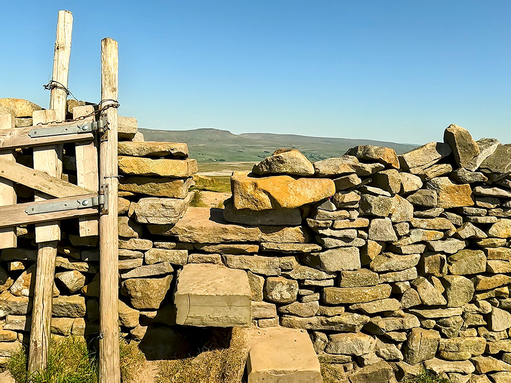The gate in the wall with Pen-y-ghent ahead on the horizon