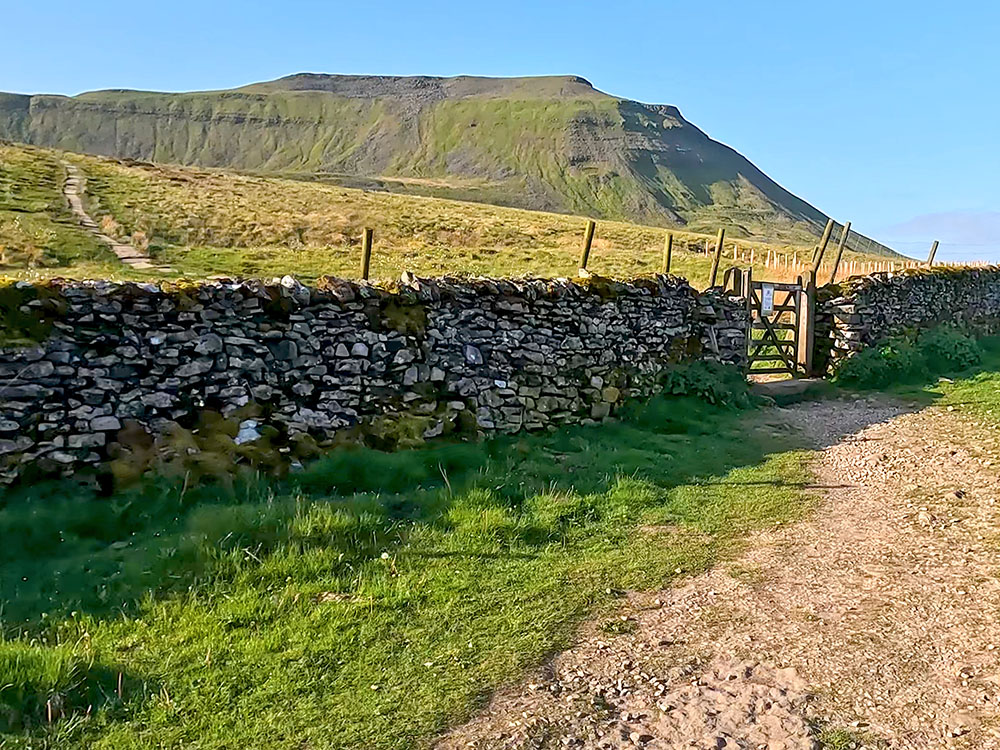The gate in the wall before the stepped and flagged section on the path towards Ingleborough