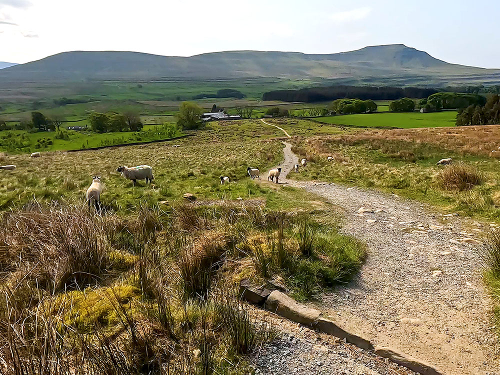 The path heading towards Bruntscar