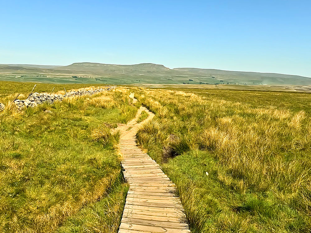 The path heads across the wooden boards with Pen-y-ghent ahead