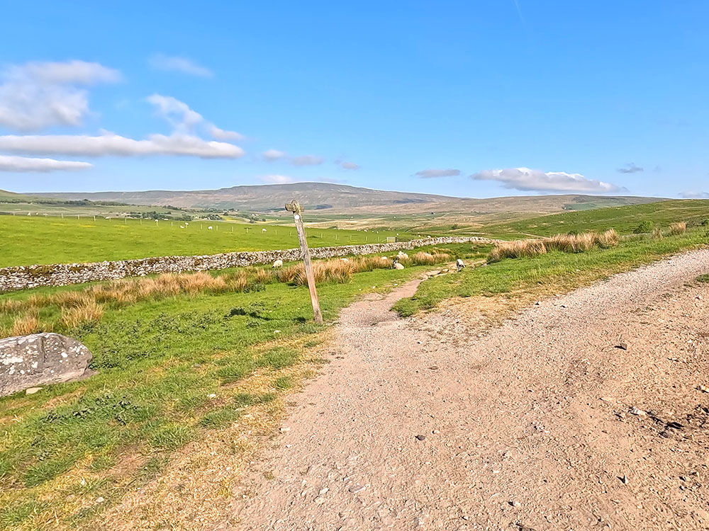 The Yorkshire 3 Peaks path heads left off the track