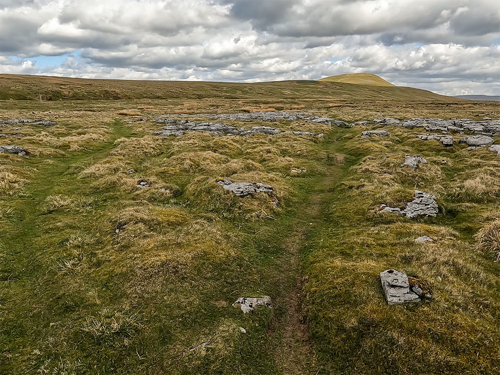 Following the 'A Pennine Journey' path on the lower flanks of Whernside