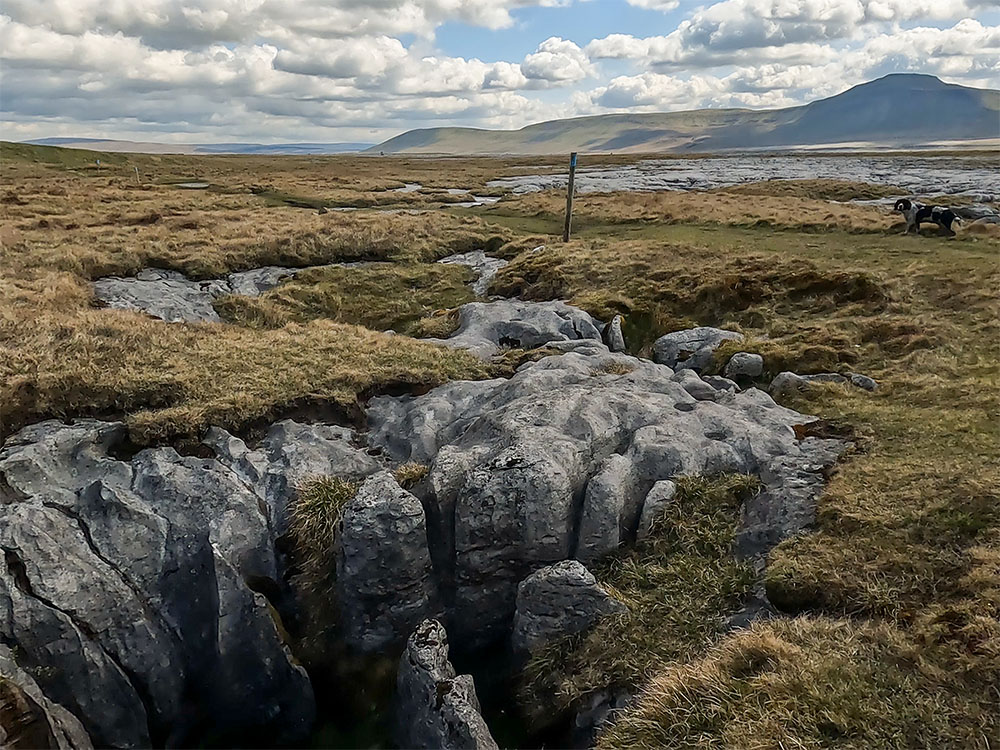 One of the strange shaped limestone pots on Whernside with Ingleborough in the distance