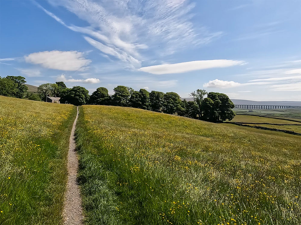 The Dales High Way path as it passes through fields on the lower slopes of Whernside, with the Ribblehead Viaduct visible in the distance