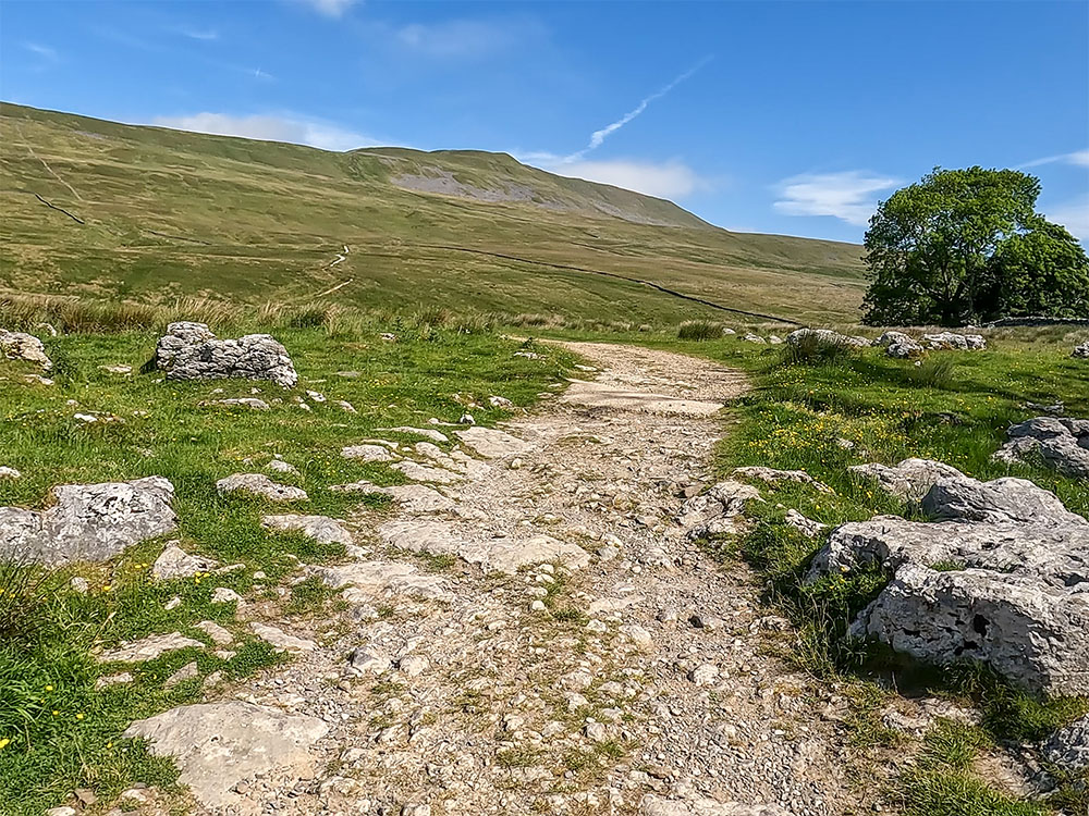 Looking back up towards Whernside's summit from near Bruntscar up the footpath that is the Yorkshire Three Peaks path and part of the 'A Pennine Journey' path