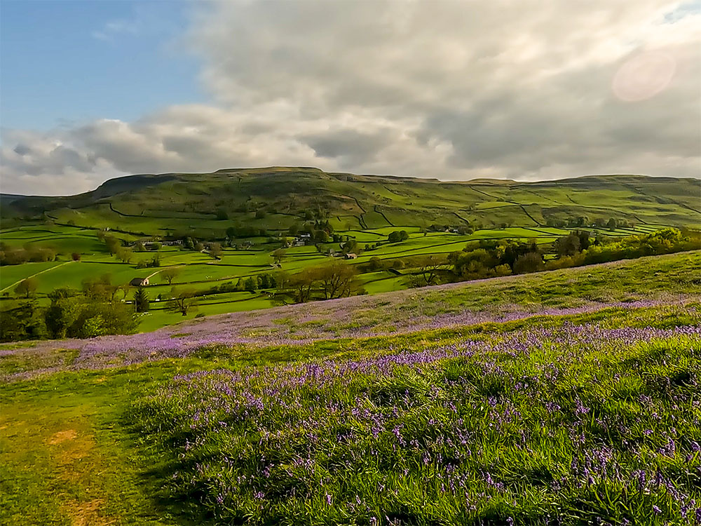 Bluebells near Austwick